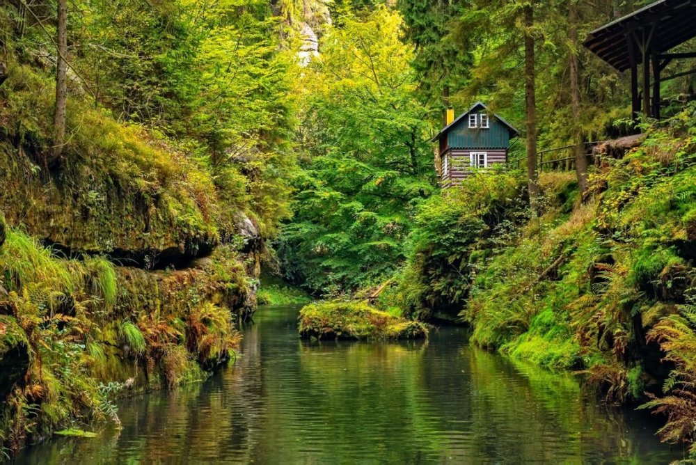 Дом в лесу у реки