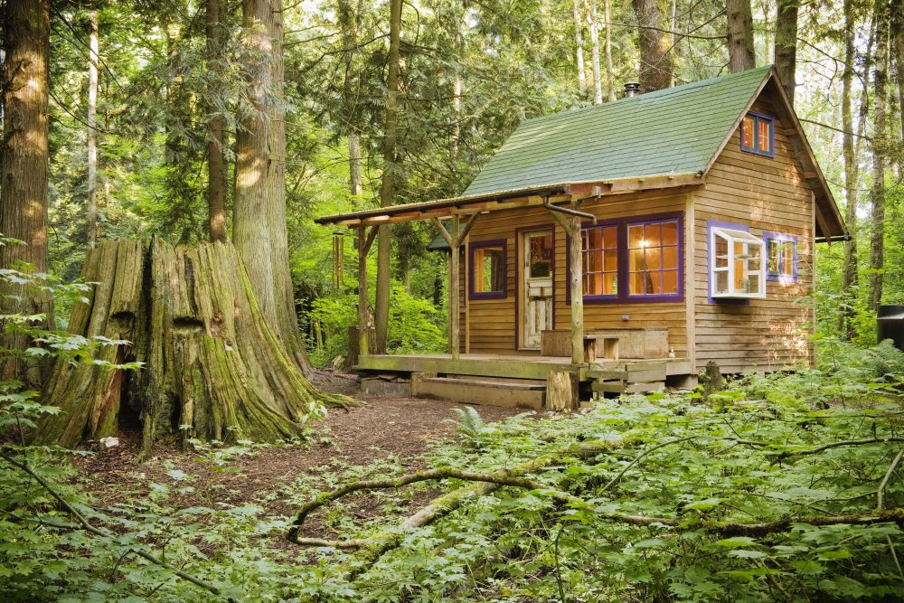 Маленький деревянный домик в лесу