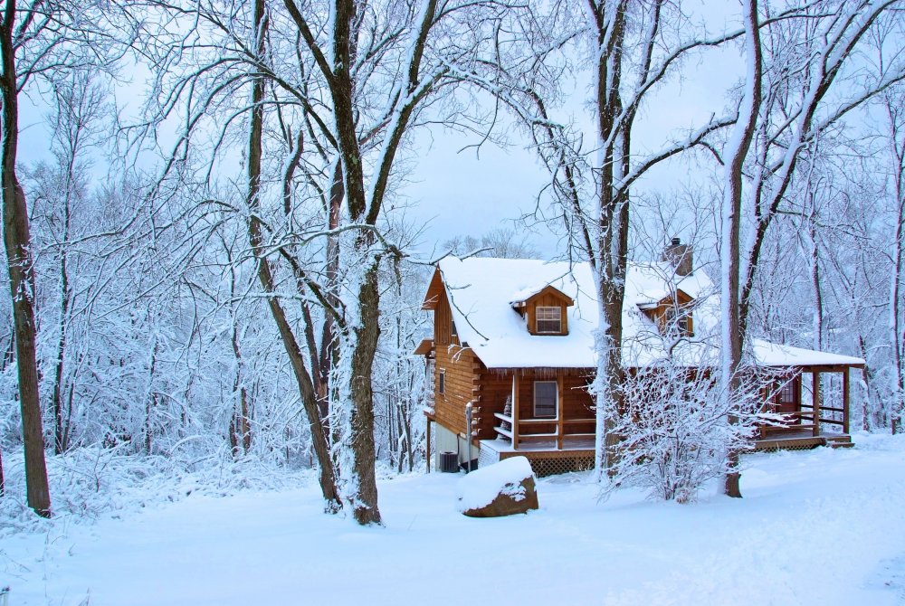 Деревянный домик в лесу зимой