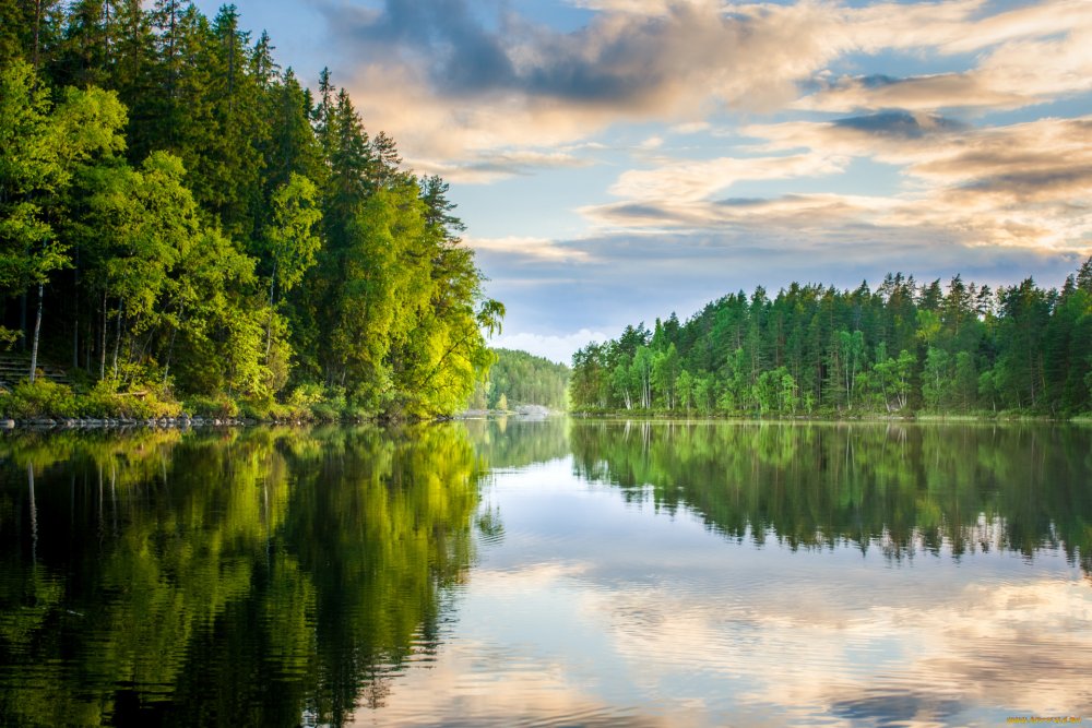 Лесные реки Белоруссии