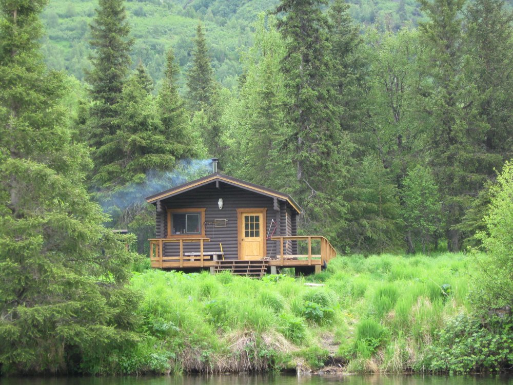 Аляска дома в лесу