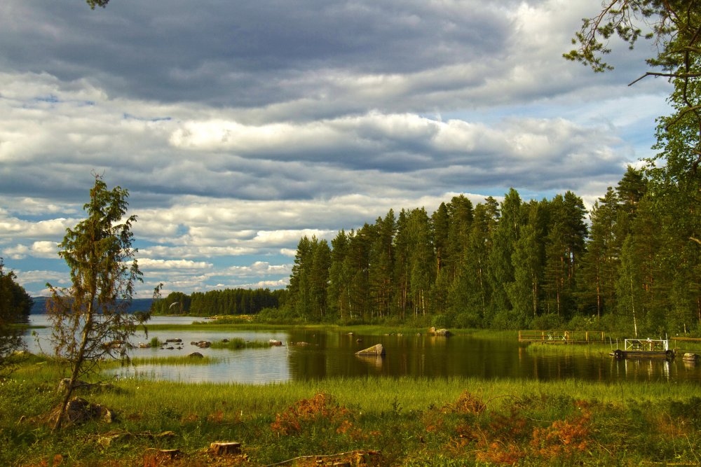 Швеция Даларна природа