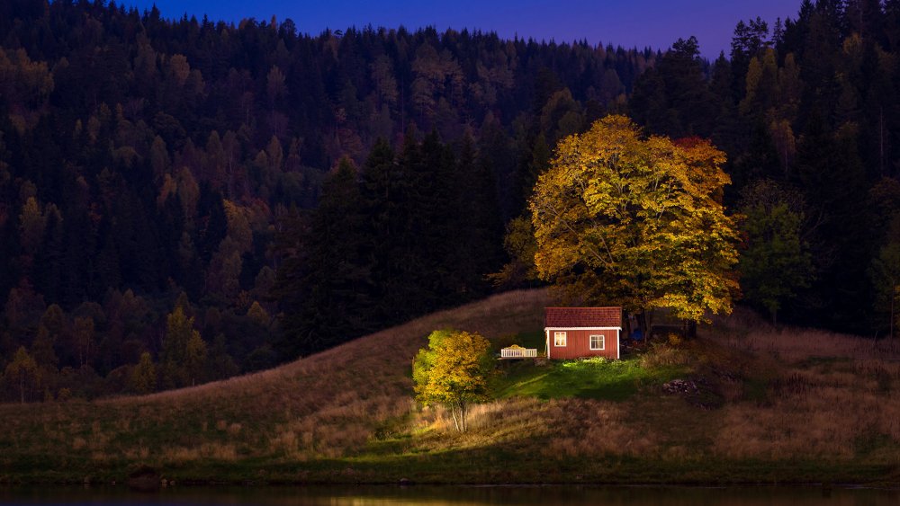 Норвегия домик в лесу река