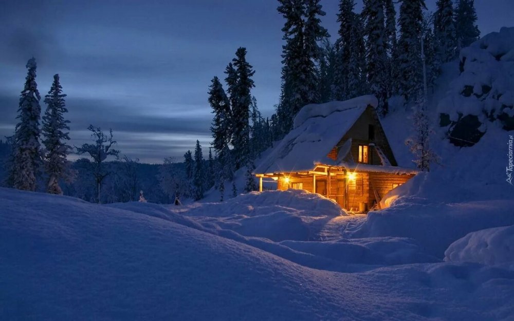 Заснеженный домик в лесу