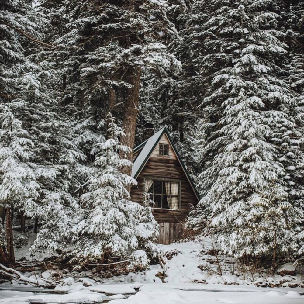 Домик в лесу зимой