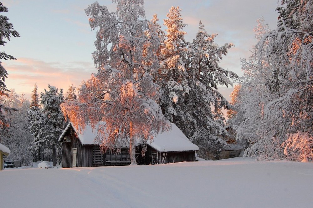 Деревня в лесу зимой