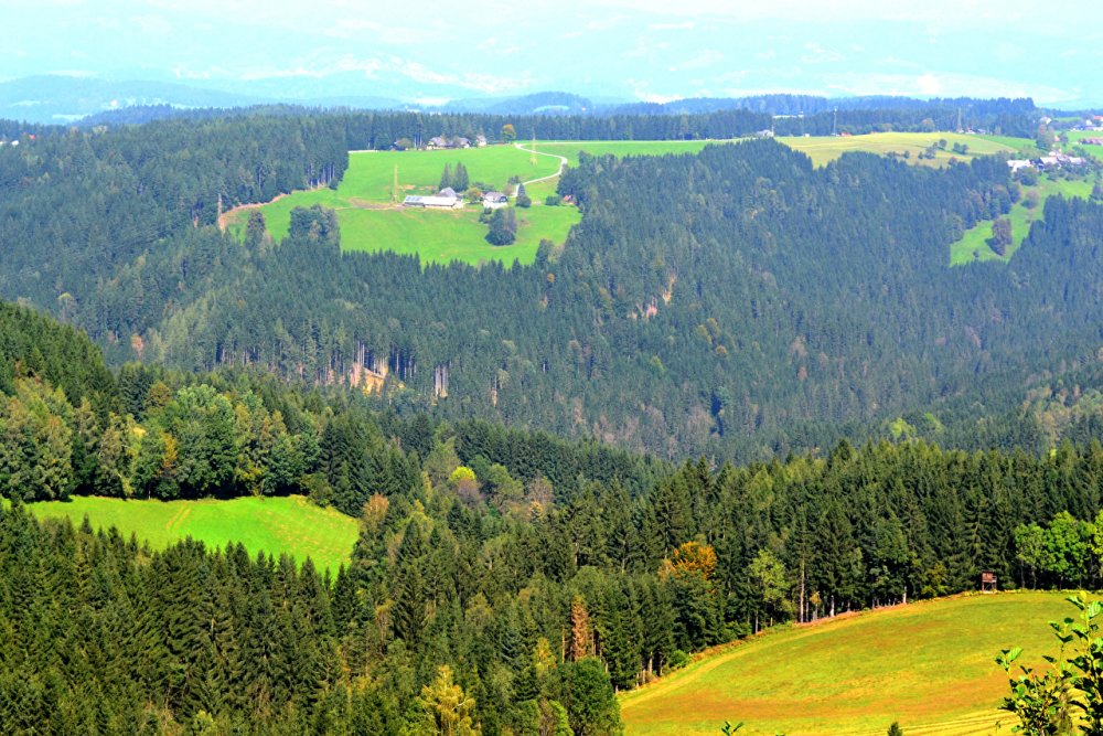 Австрия горные леса