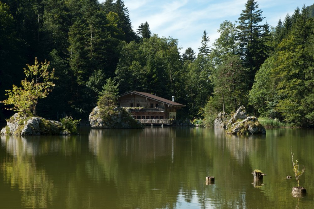 Венский лес Австрия озеро