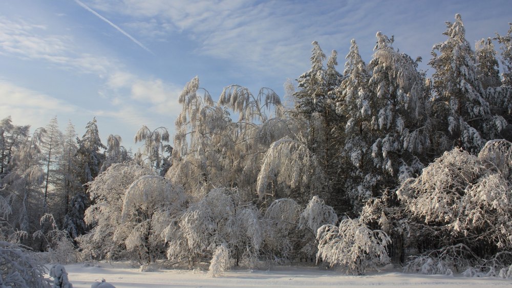 Русская зима фото