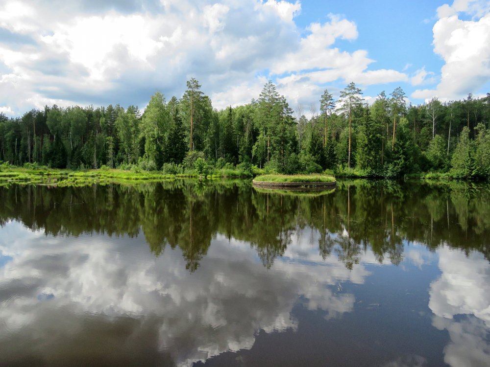 Лесное озеро Россия, Удмуртская Республика, Якшур-Бодьинский район