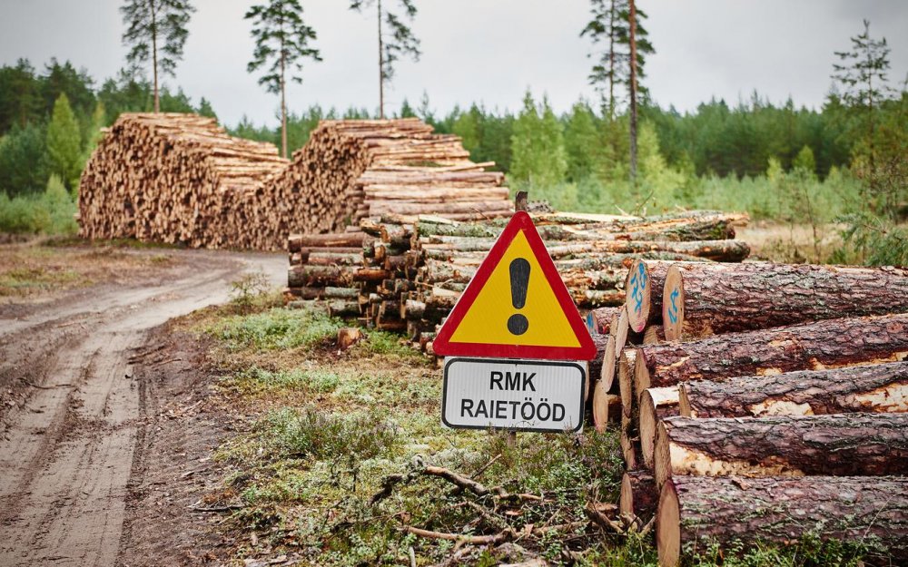 Вырубка леса в Норвегии