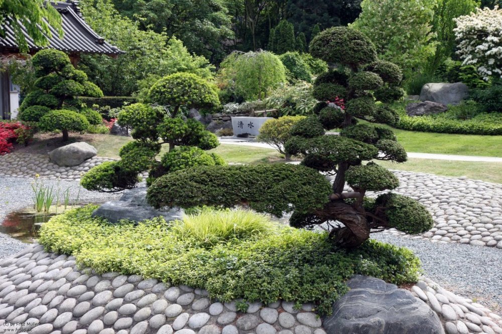 Бонсай Каменистый сад Япония