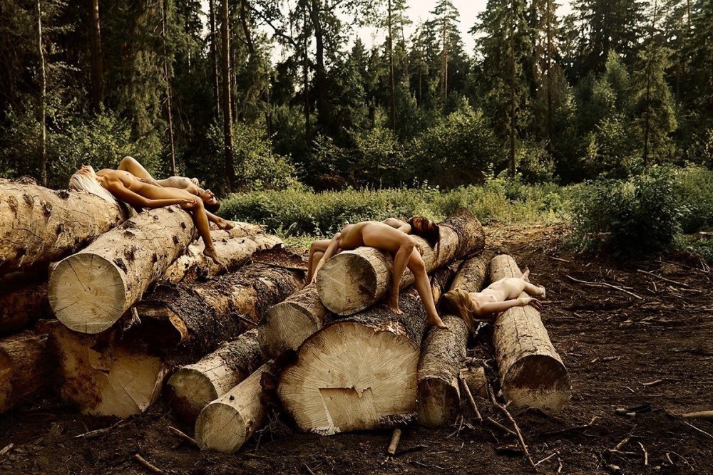 Против вырубки лесов