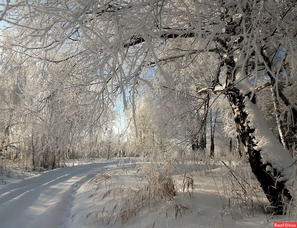 Снежное царство зима природа