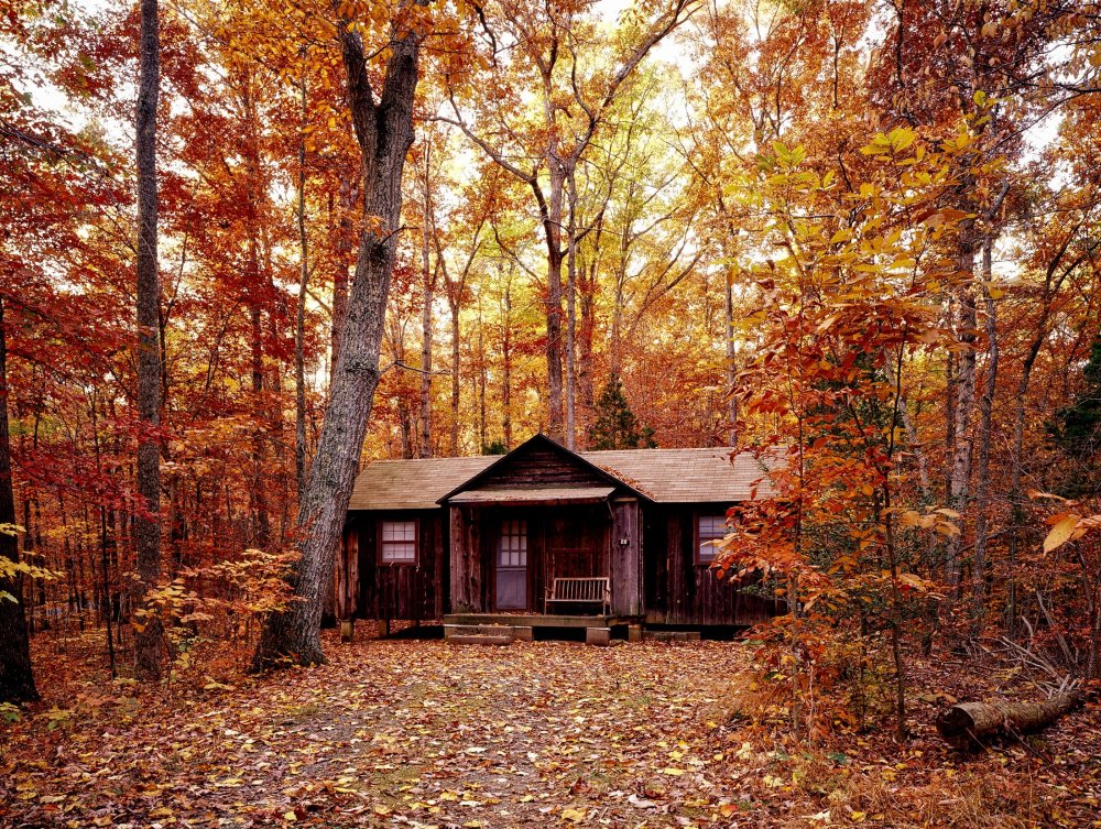 Домик в лесу осенью