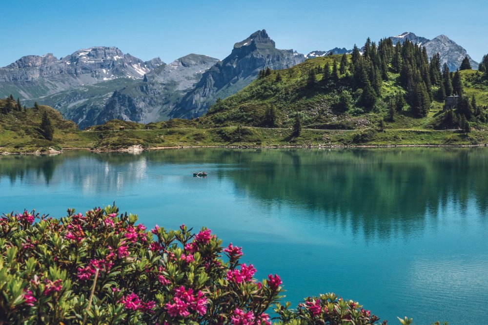Швейцария природа горы