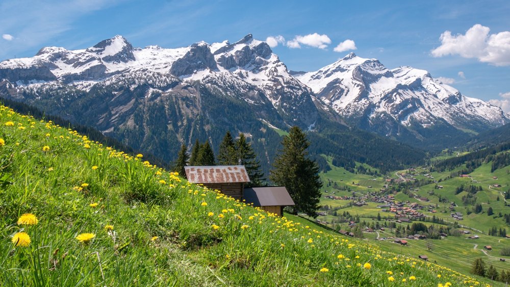 Швейцарии Австрии Альпы