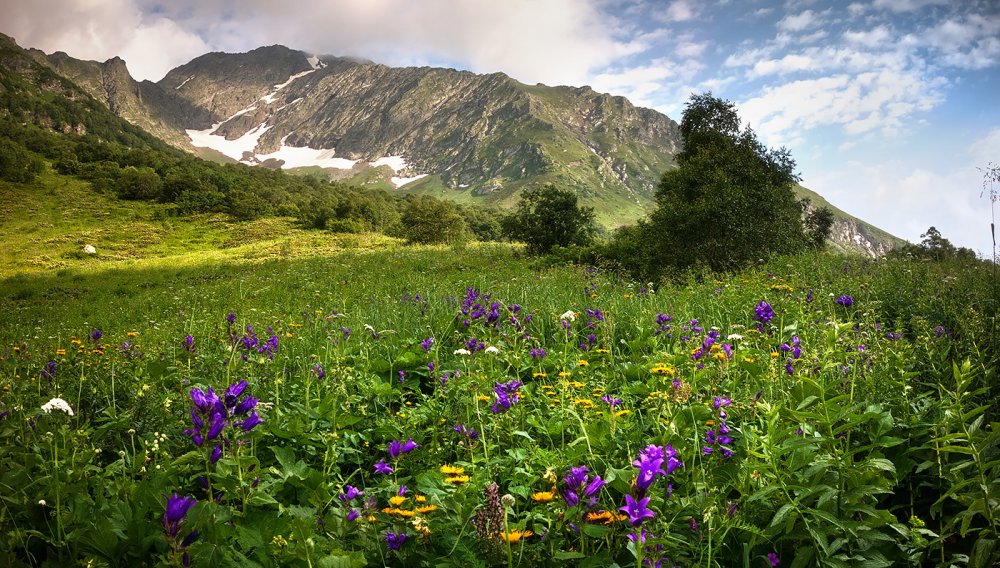 Альпийские Луга Абхазия