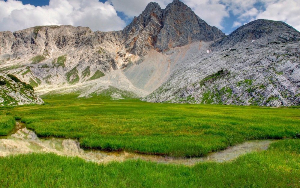 Зеленые холмы горный Алтай