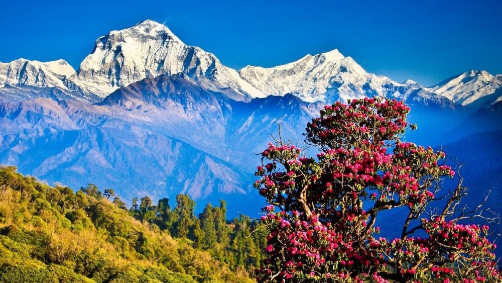 Катманду природа