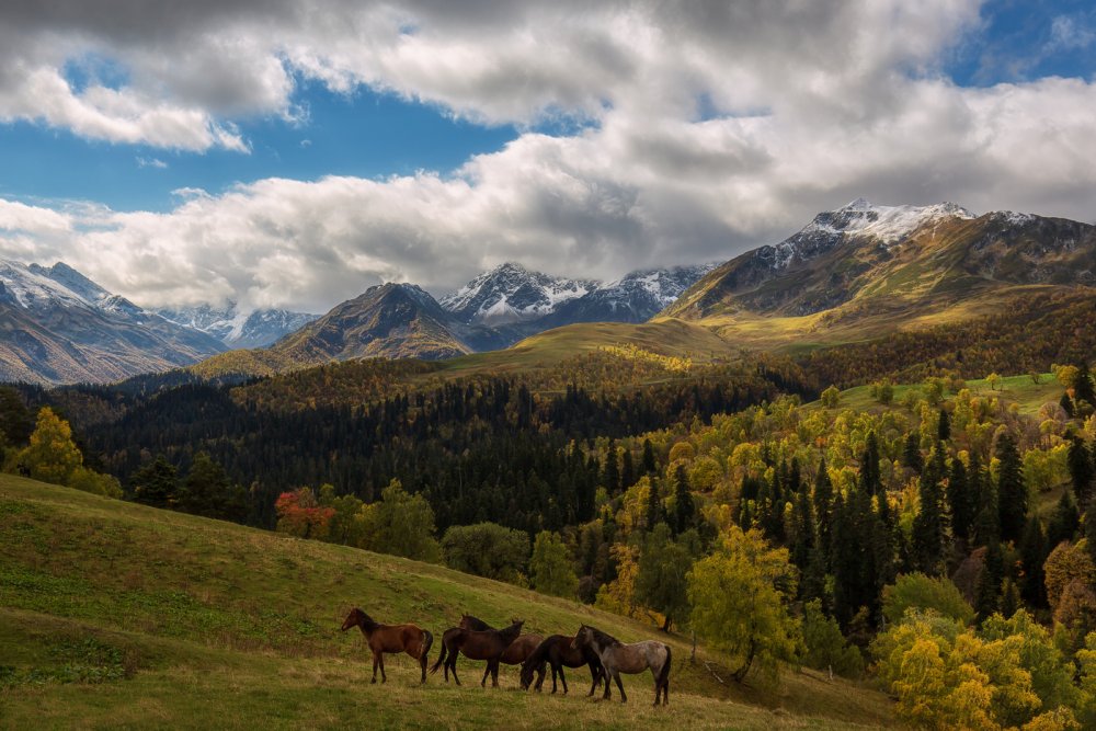 Природа горы Архыз Кавказ