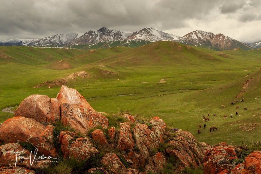 Природа Кыргызстана горы Морена