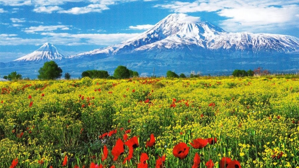 Арарат весной Армении