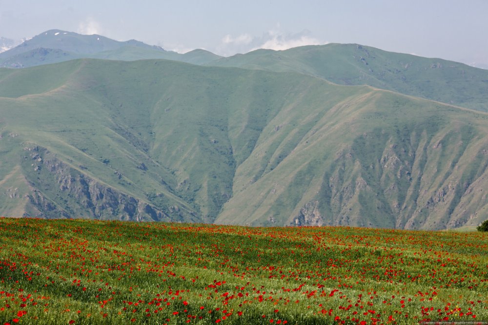Поля и горы Армении