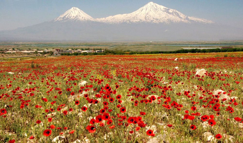 Красоты Армении Арарат