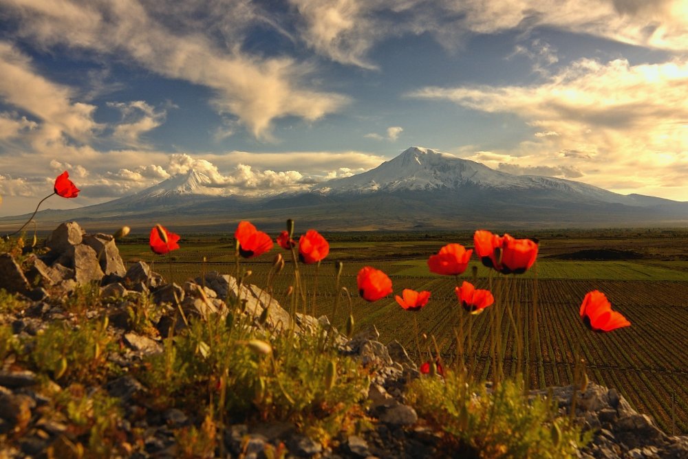 Арарат весной Армении