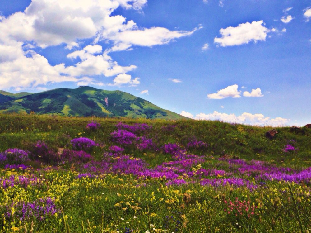 Летом горы в Армении