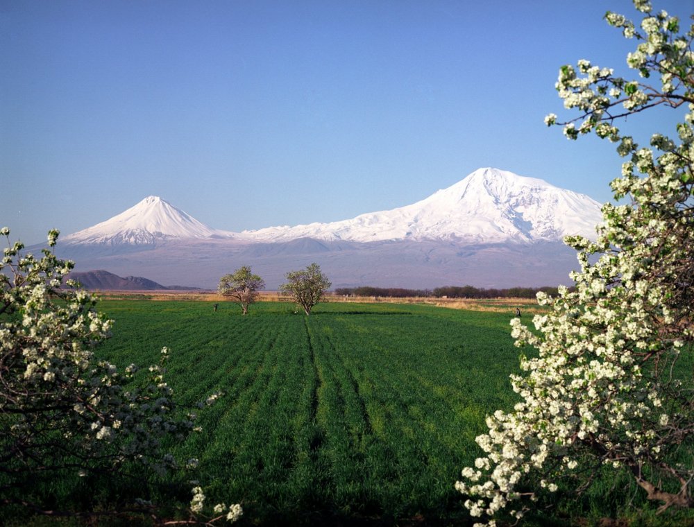 Природа Армении Арарат