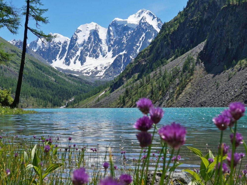 Озера Алтая горный Алтай