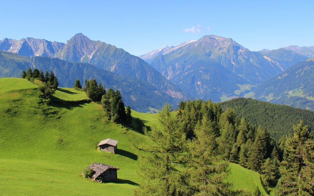 Швейцария Альпийские Луга вектор