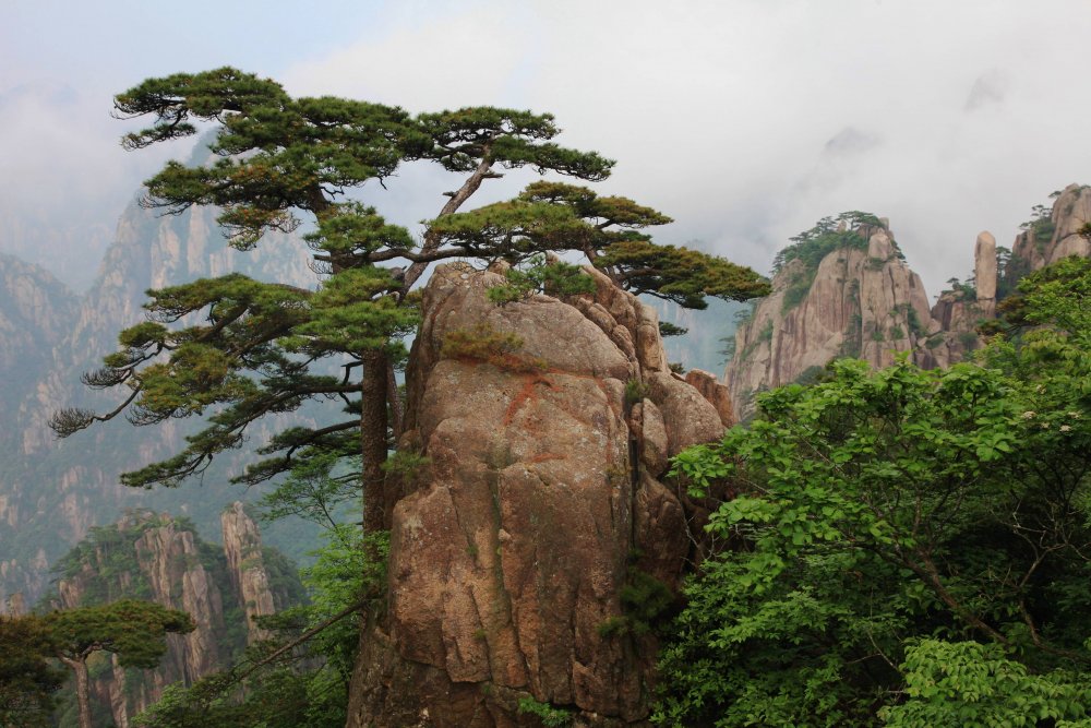 Природа Китая горы Хуаншань