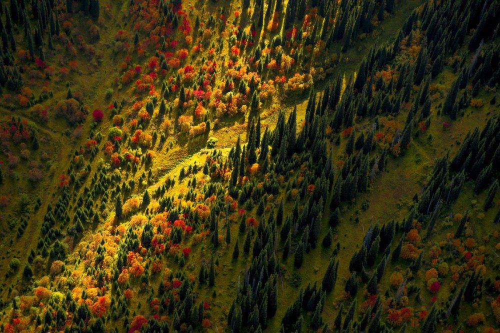 Осень в горах Казахстана