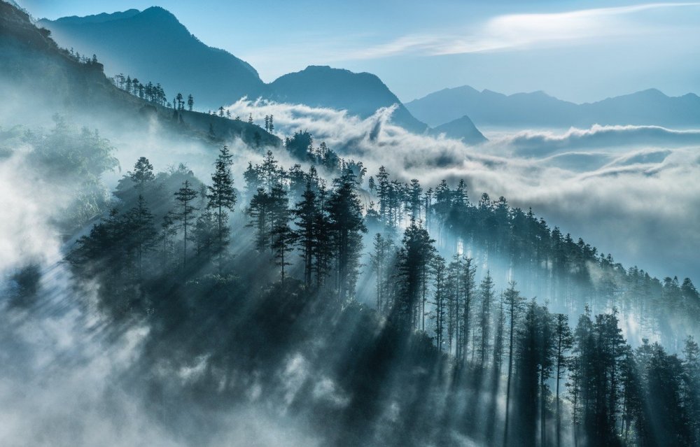 Горы в тумане