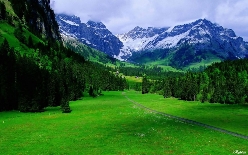 Альпы Швейцария зелень
