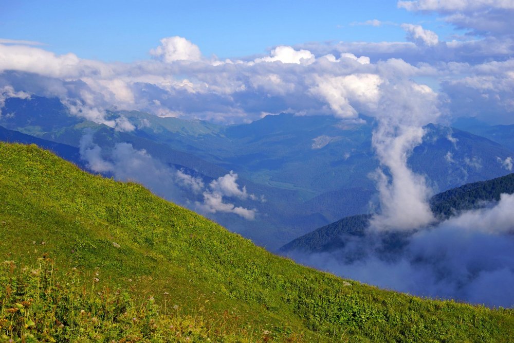 Гора Мамзышха Абхазия высота