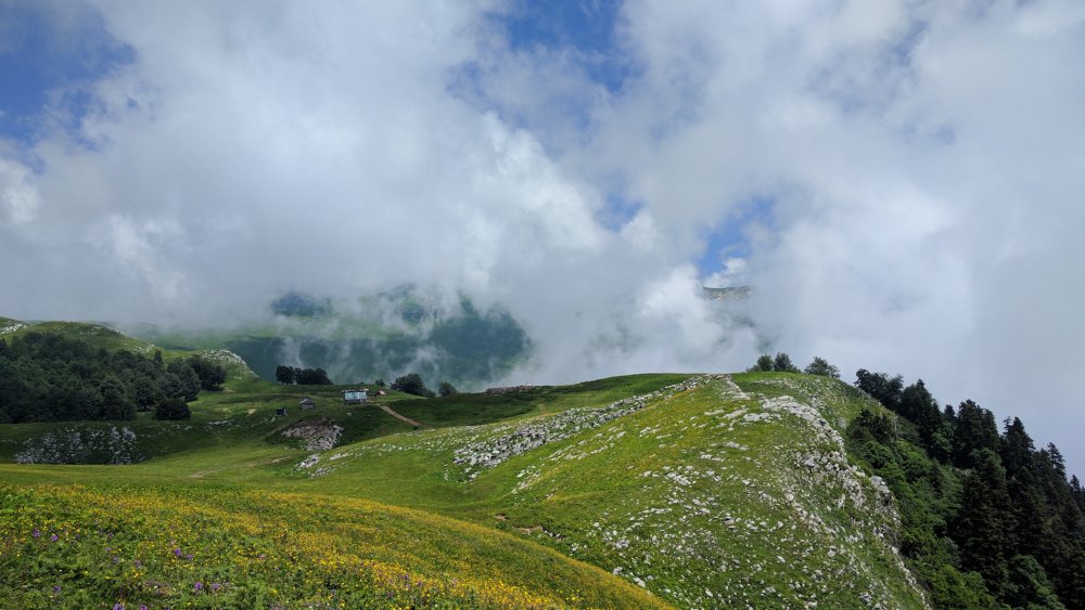 Гора Мамзышха Абхазия высота над уровнем моря