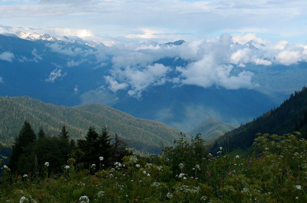 Мамзышха Абхазия высота