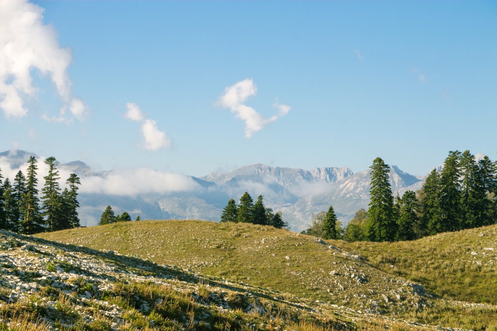 Гора Мамдзышха Абхазия
