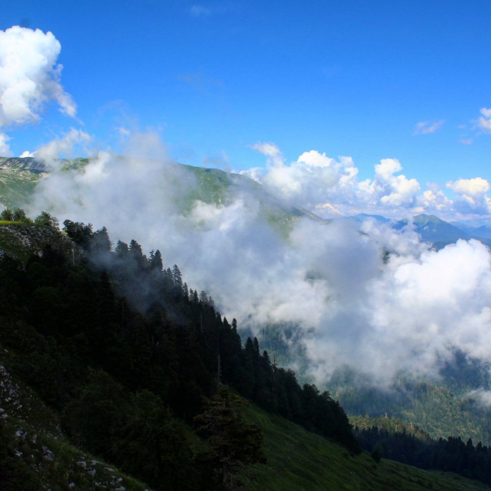 Абхазия Альпийские Луга перевал Пыв