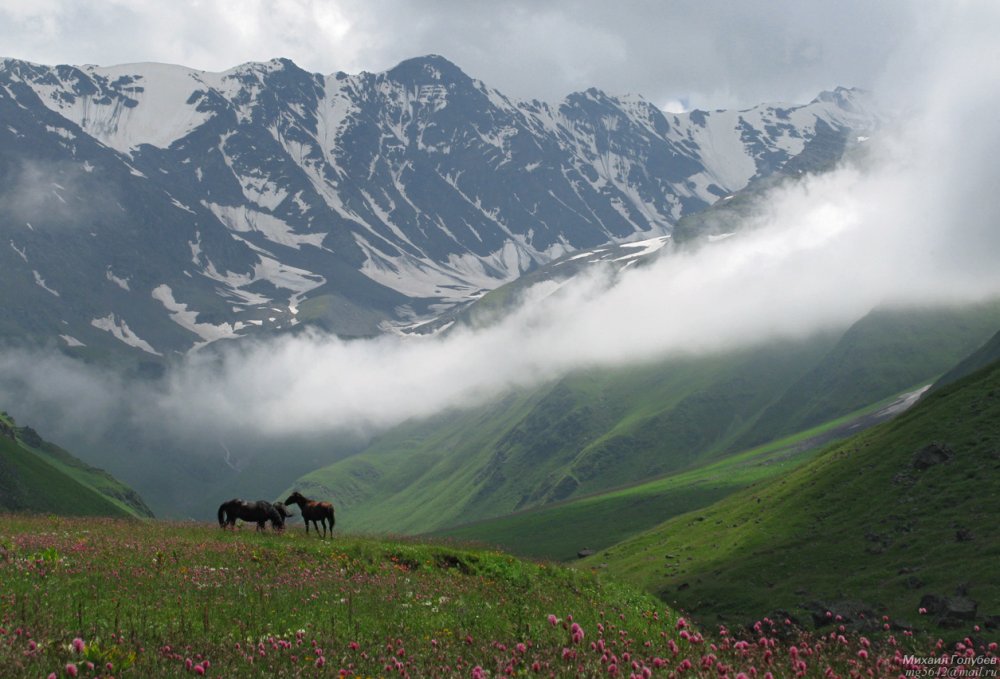 Северный Кавказ Северная Осетия