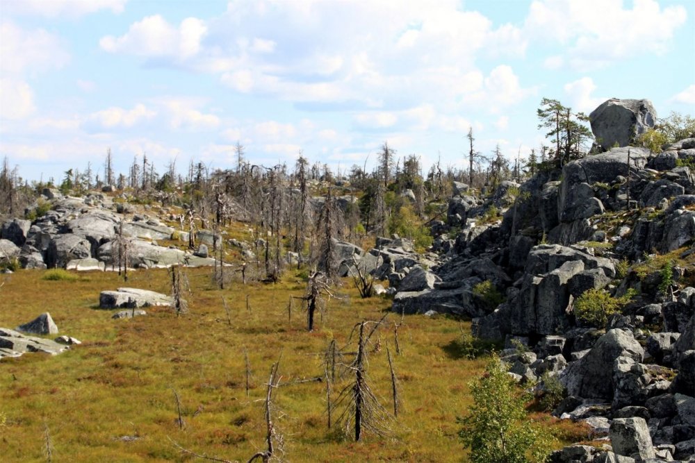 Каменное плато в Карелии