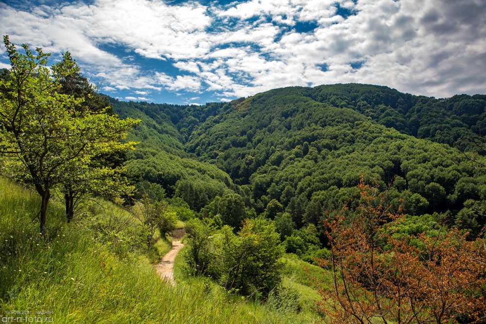 Кисловодский национальный парк гора