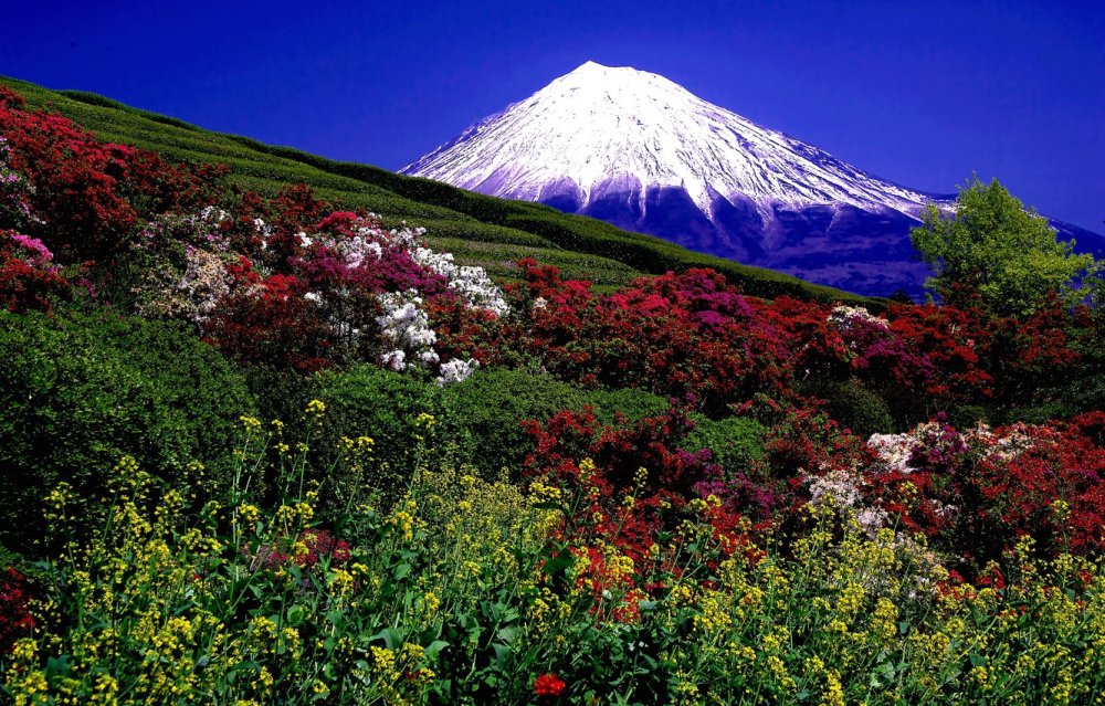 Горы вулкан Камчатка природа