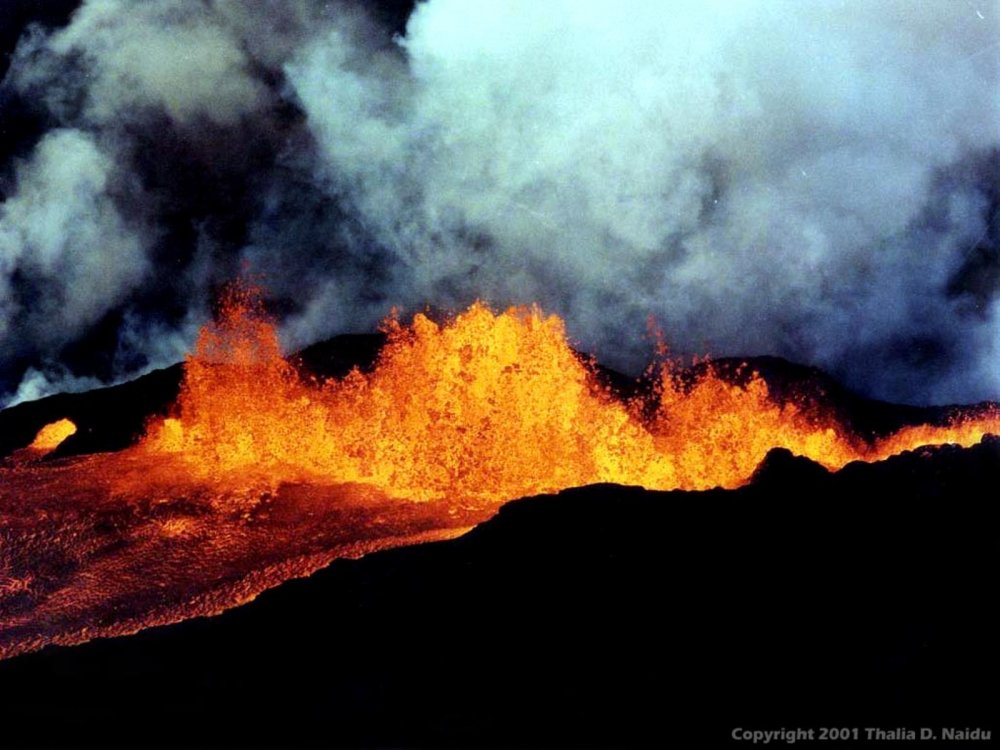Мауна-Лоа извержение 1984