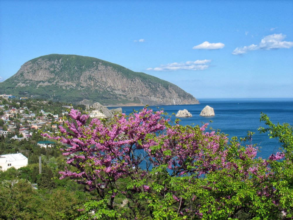 Гора аюдаг в Крыму