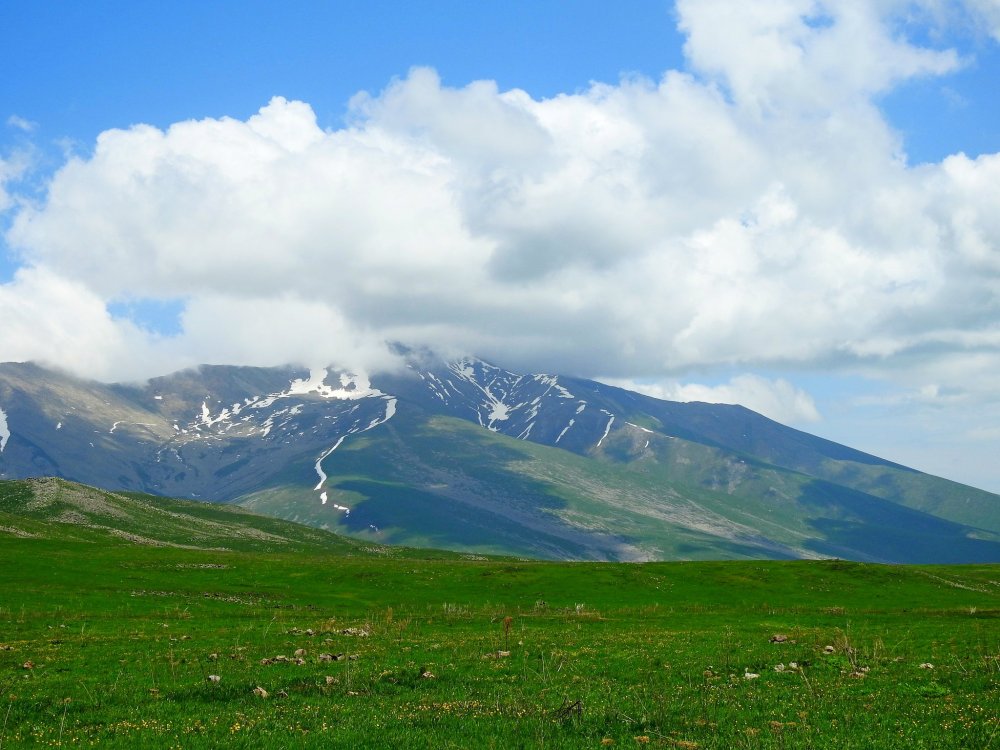 Гори Армении горы